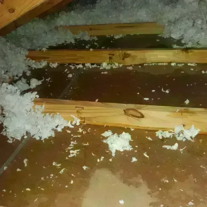 Attic Water Damage in Spencer, NC