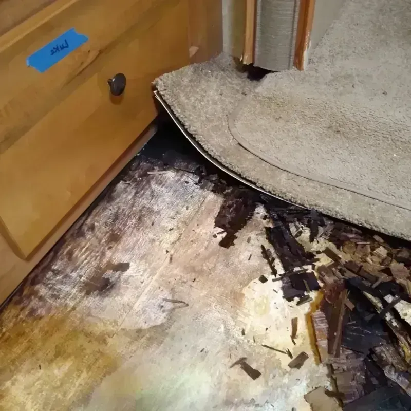 Wood Floor Water Damage in Spencer, NC